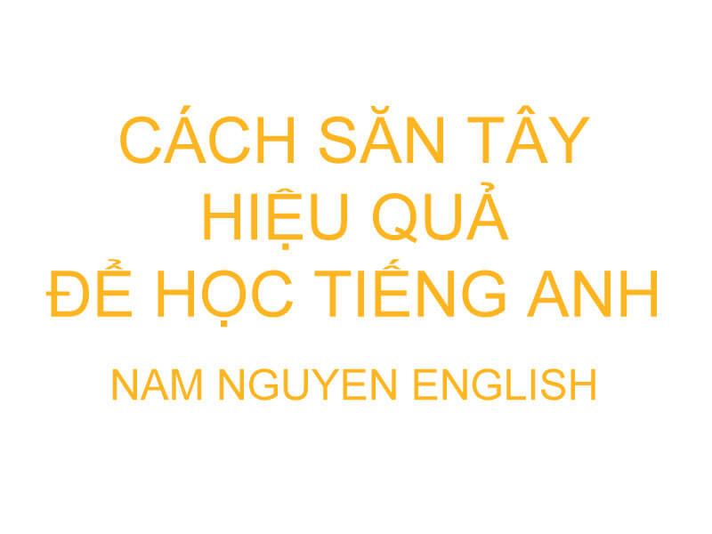 Cách săn Tây hiệu quả