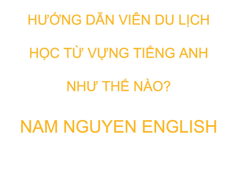 Hướng dẫn viên học từ vựng tiếng Anh